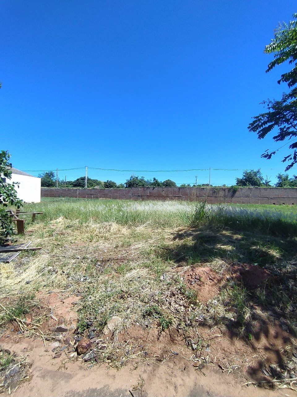 Imagem do WhatsApp de 2024-10-25 à(s) 16.28.42_477498a0